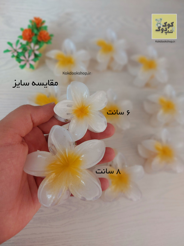 کیلیپس پلومریا سایز بزرگ ۸ سانت